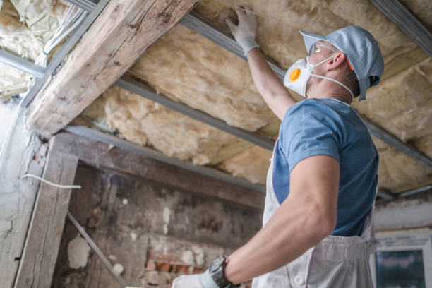 Best Crawl Space Insulation  in Vandergrift, PA