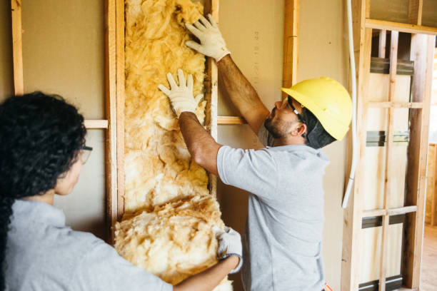 Best Professional Insulation Contractor  in Vandergrift, PA