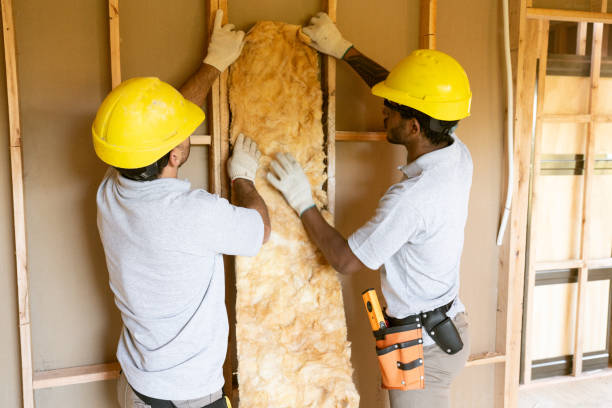 Best Home Insulation Services  in Vandergrift, PA