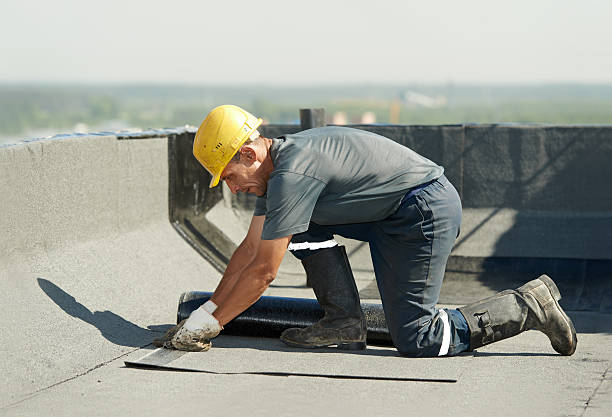 Best Insulation Removal  in Vandergrift, PA